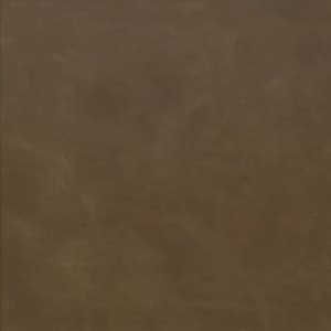 Chestnut / Black
