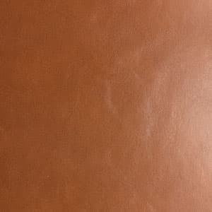 Glossy Rawhide / Black