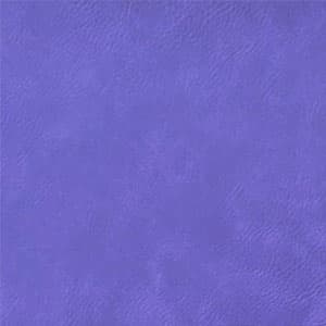 Purple / Black
