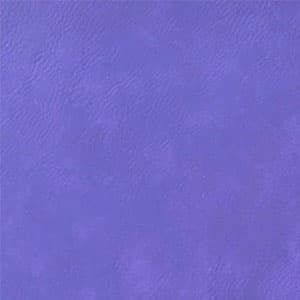 Purple / Gold