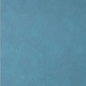 Turquoise / Black
