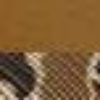 Saddle/ Duck Camo