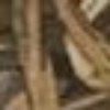 Realtree Max4