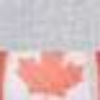 Heather Grey/Canada Flag