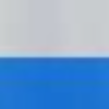 Cool Grey/ Vivid Blue