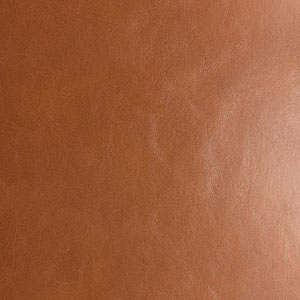 Glossy Rawhide / Black