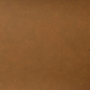 Rawhide / Black